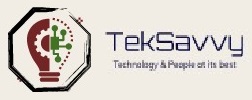 Teksavy LLC